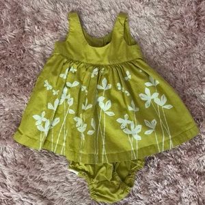 Tea Collection. 2 piece dress & bloomers
